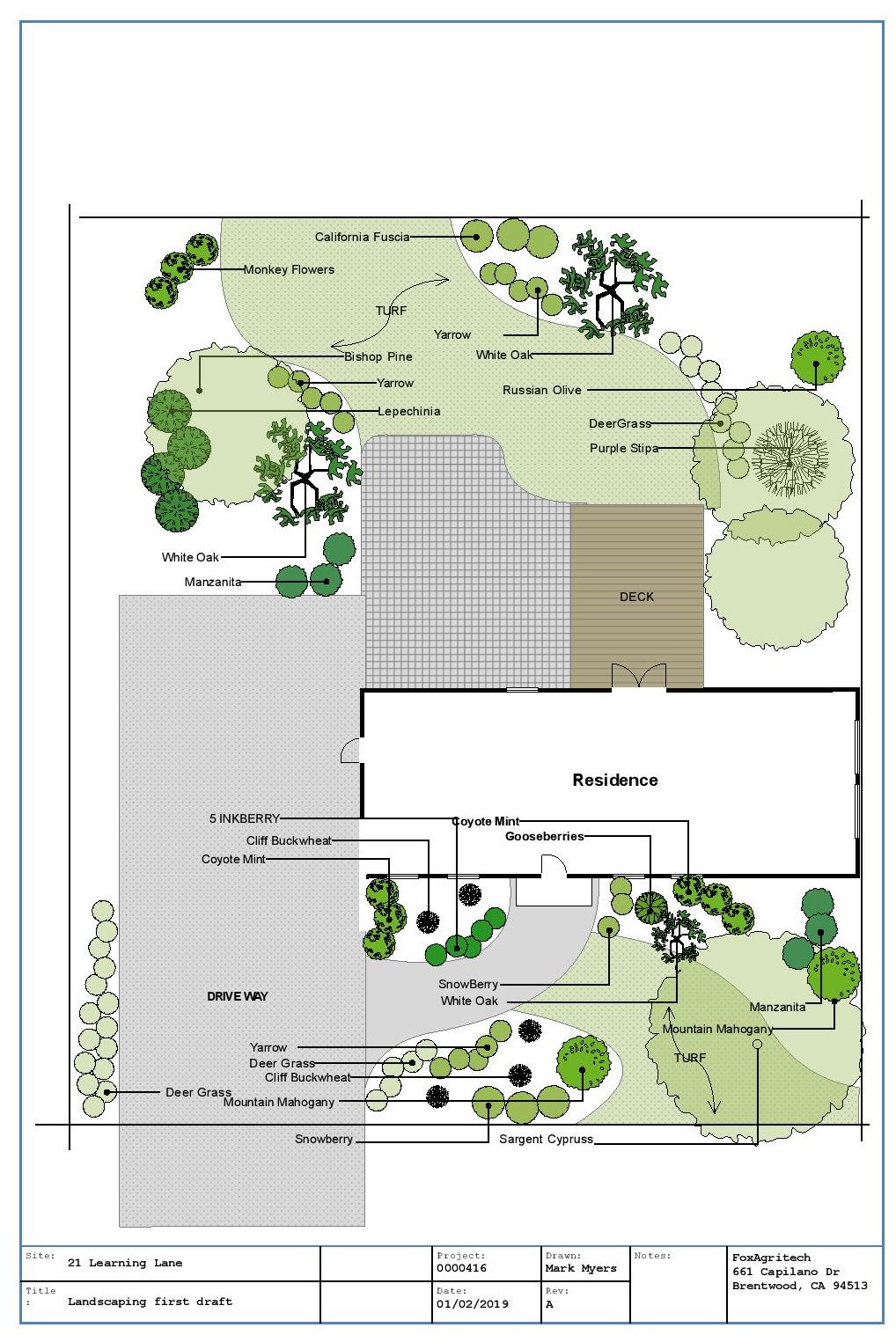 Landscape design with California drought resistant plants