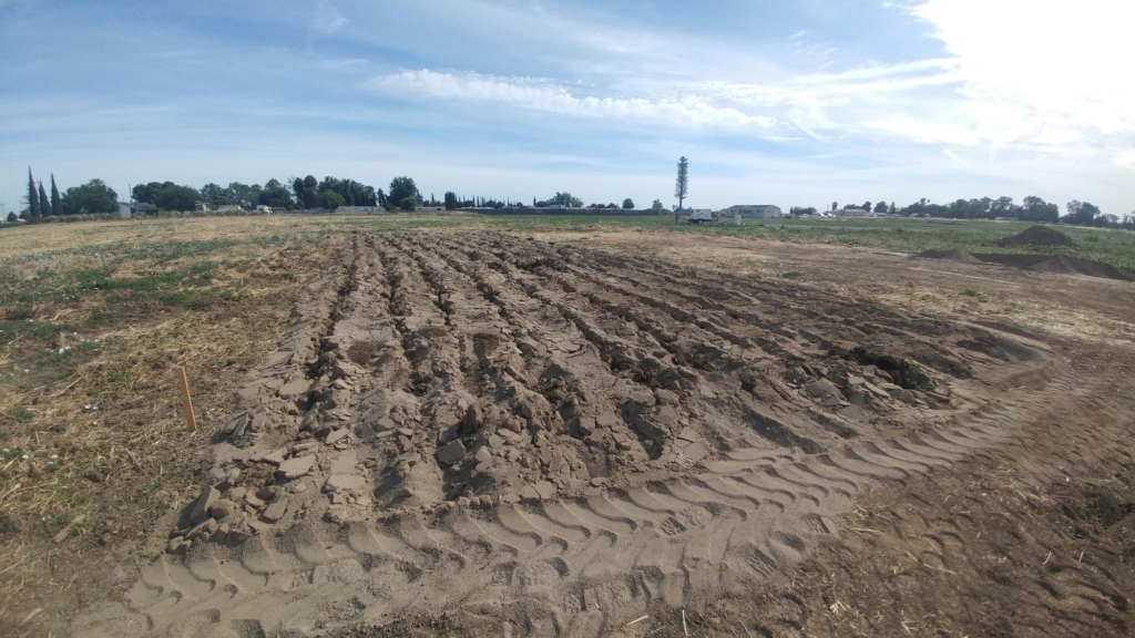 sand field with ripped marks in it