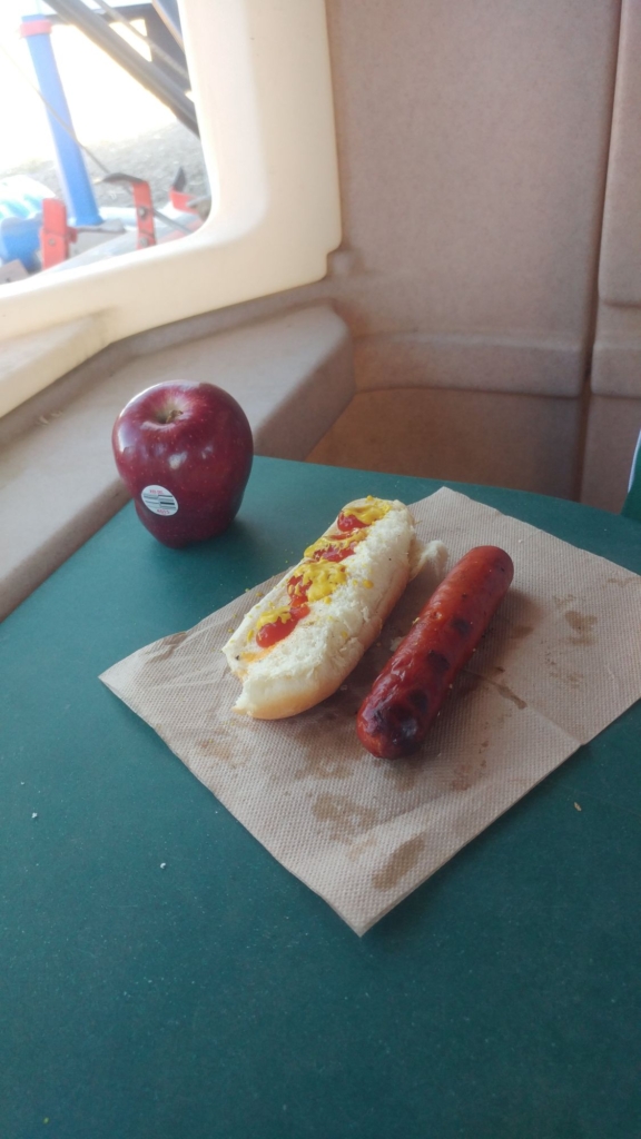 hotdog, bun and apple.