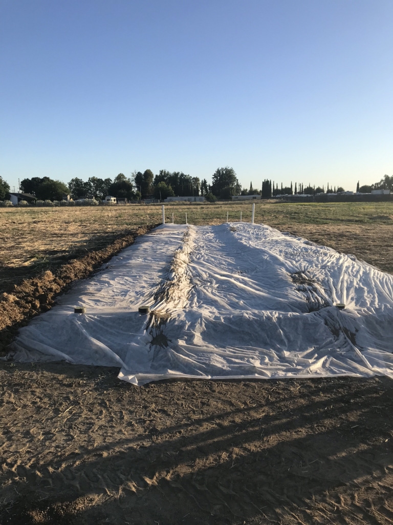 a large field with weed fabric covering it