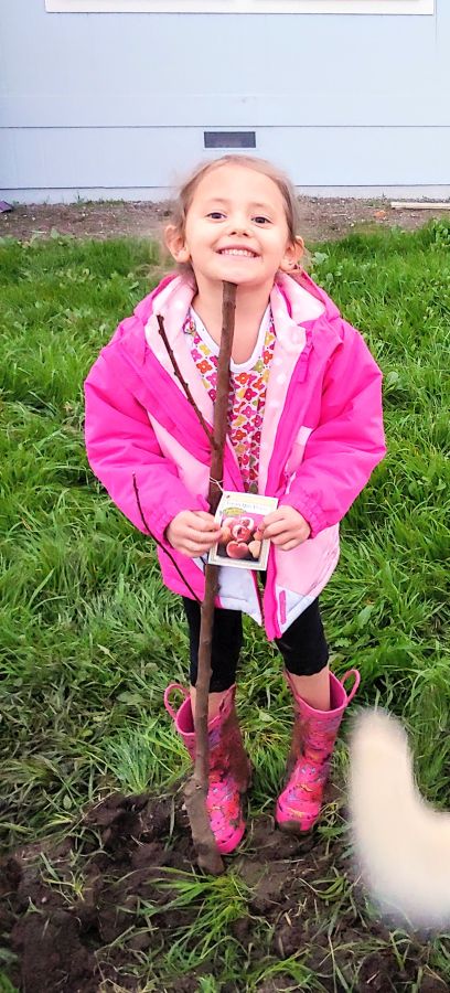 A little girl in front of a newly planted bare root cherry tree